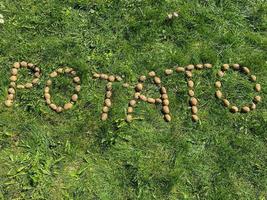 The inscription potatoes made of letters from natural yellow beautiful ripe tasty healthy starchy potatoes fresh in the ground on green grass. The background photo