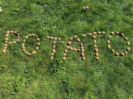 The inscription potatoes made of letters from natural yellow beautiful ripe tasty healthy starchy potatoes fresh in the ground on green grass. The background photo