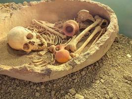 the bones are in a basket in the museum. an exhibit on an excursion, a demonstration of ancient burials in the country. bones and skull of ancient man photo