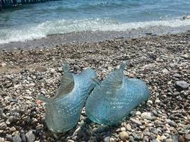 zapatillas de mujer azul goma para nadar en una playa de guijarros foto