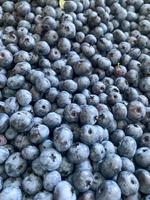 Delicious fresh beautiful healthy vitamin blueberry berry for wholesome nutrition with antioxidants and trace elements. Background, texture photo