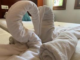 Shot of hotel room towels in swan shapes, towel art, maid service photo