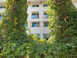 A modern resort building with white walls set against a clear sky backdrop. There is a garden with trees in front of the balcony. Minimalistic tropical resort vacation concept photo