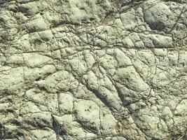 texture. rock formation on the sea. a stone made of sand, a large boulder lies on the beach. stone with cracks and damage, ancient texture photo