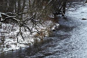 Flowing water river curve with snow covered bank with big tree branch over water photo