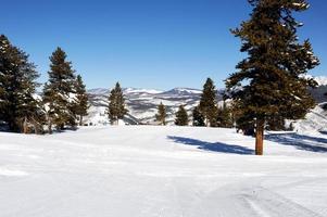en la parte superior de la pista de esquí para principiantes con vistas vírgenes y hermosas condiciones para esquiar. foto
