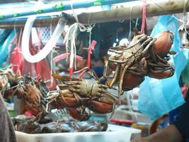 Sea Food And Fresh Lobsters photo