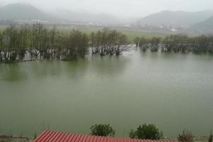 el lago y los árboles en la niebla foto