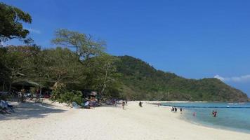 Green Trees In The Beach photo