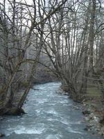 The River In The Jungle photo