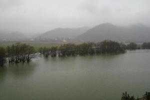 el pueblo está en la niebla foto