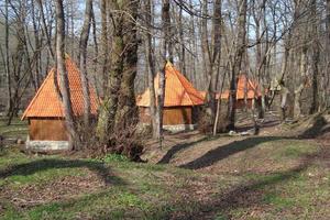 Three Cabins In Woods photo