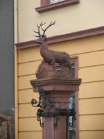 The Deer Statue Close Up photo