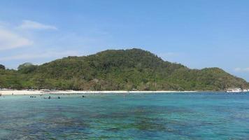 Green Jungle And Blue Sea photo