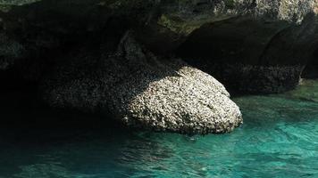 Blue Ocean And The Beautiful Beach photo