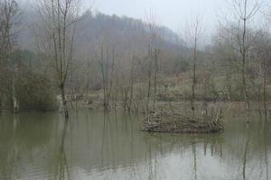 el pantano en la temporada de otoño foto