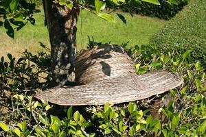 sombrero de paja debajo de un árbol en un día soleado. foto