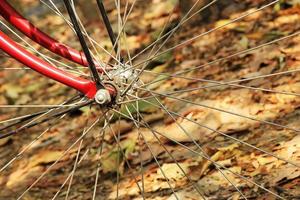 una rueda de bicicleta de cerca en el fondo de las coloridas hojas de otoño. foto