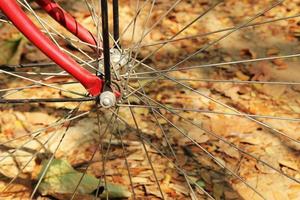 una rueda de bicicleta de cerca en el fondo de las coloridas hojas de otoño. foto