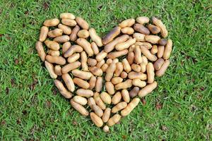 el corazón de las nueces en la hierba para el día de san valentín. foto