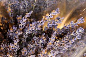 viajar a bangkok, tailandia. la lavanda seca en el ramo en el mercado de las flores foto