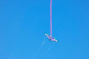 kite furrowing and hovering in the air under the blue sky photo