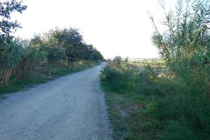 Llobregat river and adjacent roads in the Baix Llobregat region very close to the city of Barcelona. photo