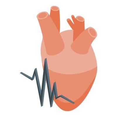 Child heart palpitation icon isometric vector. Attack health