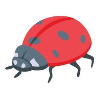 Classic ladybug icon isometric vector. Insect bug vector