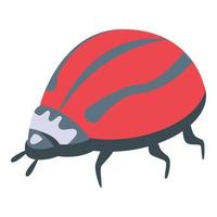 Red striped ladybug icon isometric vector. Cute bug vector