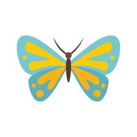 Artistic butterfly icon flat isolated vector