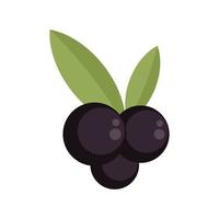 Blackcurrant icon flat isolated vector