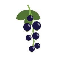 Blue currant berry icon flat isolated vector