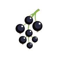 Blackcurrant icon flat isolated vector