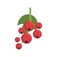 Redcurrant icon flat isolated vector