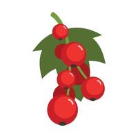Red currant berries icon flat isolated vector