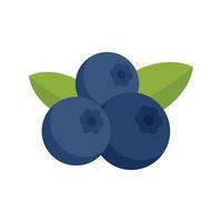 Superfood blueberry icon flat isolated vector