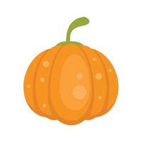 comida calabaza icono plano aislado vector