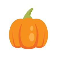 Farm pumpkin icon flat isolated vector