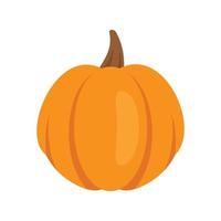 Garden pumpkin icon flat isolated vector