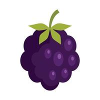 Forest blackberry icon flat isolated vector