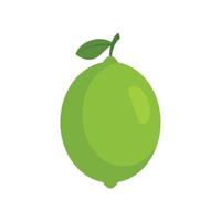 Whole lime icon flat isolated vector