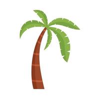 Palm tree icon flat isolated vector