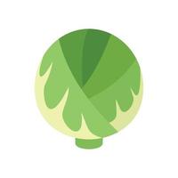 Cabbage plant icon flat isolated vector