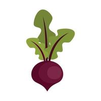 Garden beet icon flat isolated vector