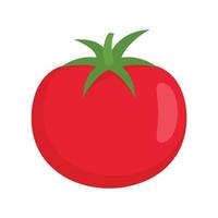 Raw tomato icon flat isolated vector