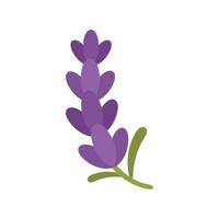 aromaterapia lavanda icono plano aislado vector