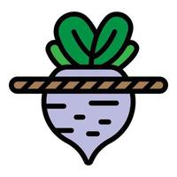 Soil beet icon color outline vector