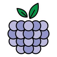 Raspberry icon color outline vector