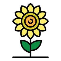 Sunflower icon color outline vector